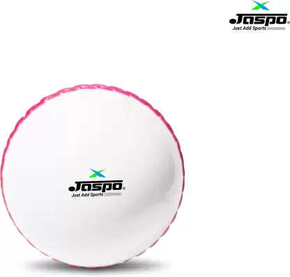 Jaspo T-20 Plus Practice Cricket /Wind Balls for Indoor & Outdoor Cricket Synthetic Ball (Pack of 3, White)