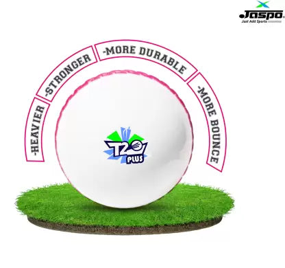 Jaspo T-20 Plus Practice Cricket /Wind Balls for Indoor & Outdoor Cricket Synthetic Ball (Pack of 3, White)