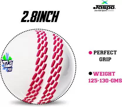 Jaspo T-20 Plus Practice Cricket /Wind Balls for Indoor & Outdoor Cricket Synthetic Ball (Pack of 3, White)