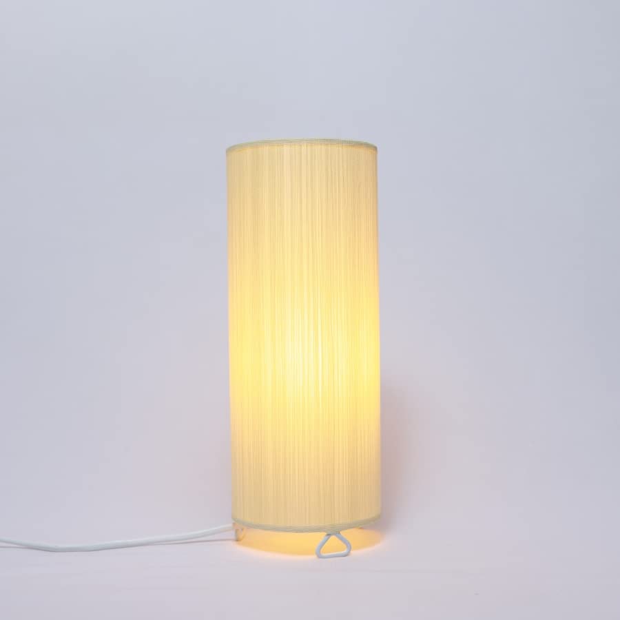 Desk Lamp, Study Lamp, Table Lamp With Creative Design 2 Pin Plug Without Bulb Night Lamp (10x25 cm)