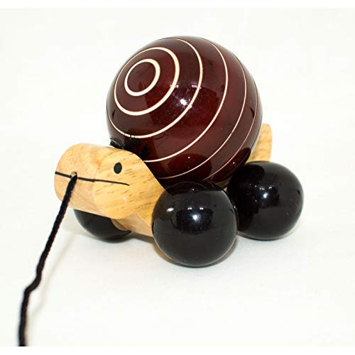 Pull Along Toys, Handmade Turtle, Pull Along Turtle Toy For Kids, Made In India Toys For Kids
