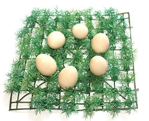 Wooden Eggs, 6 Pcs, Wooden Egg Toy For Kids, Fake Eggs For Kids - Made In India