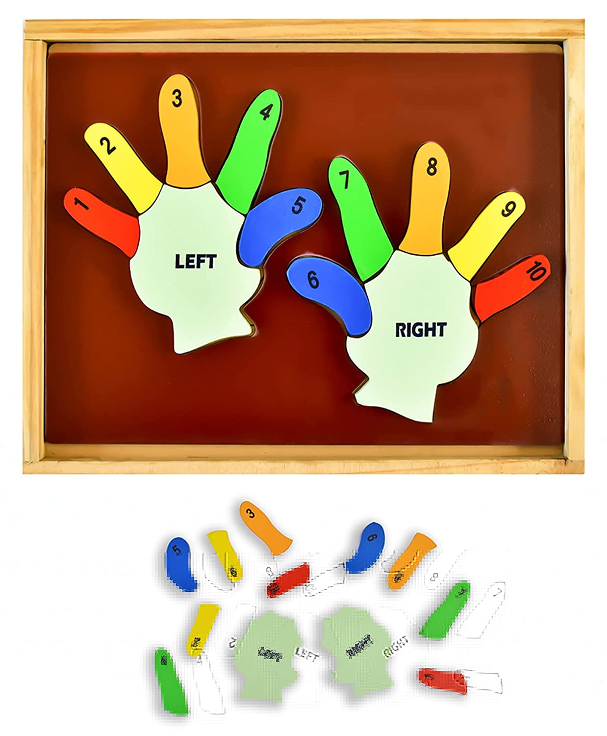 Learn the Counting Left Hand and Right Hand Puzzled Multicolour - 13 pieces