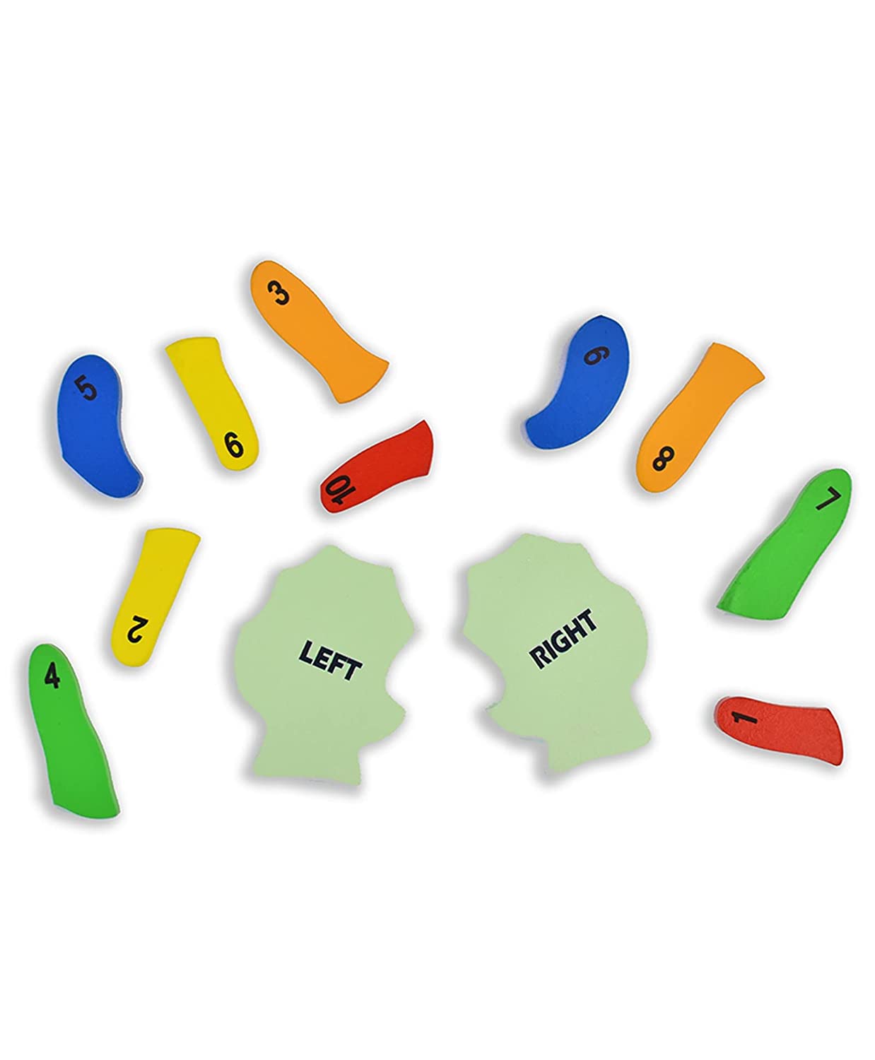 Learn the Counting Left Hand and Right Hand Puzzled Multicolour - 13 pieces