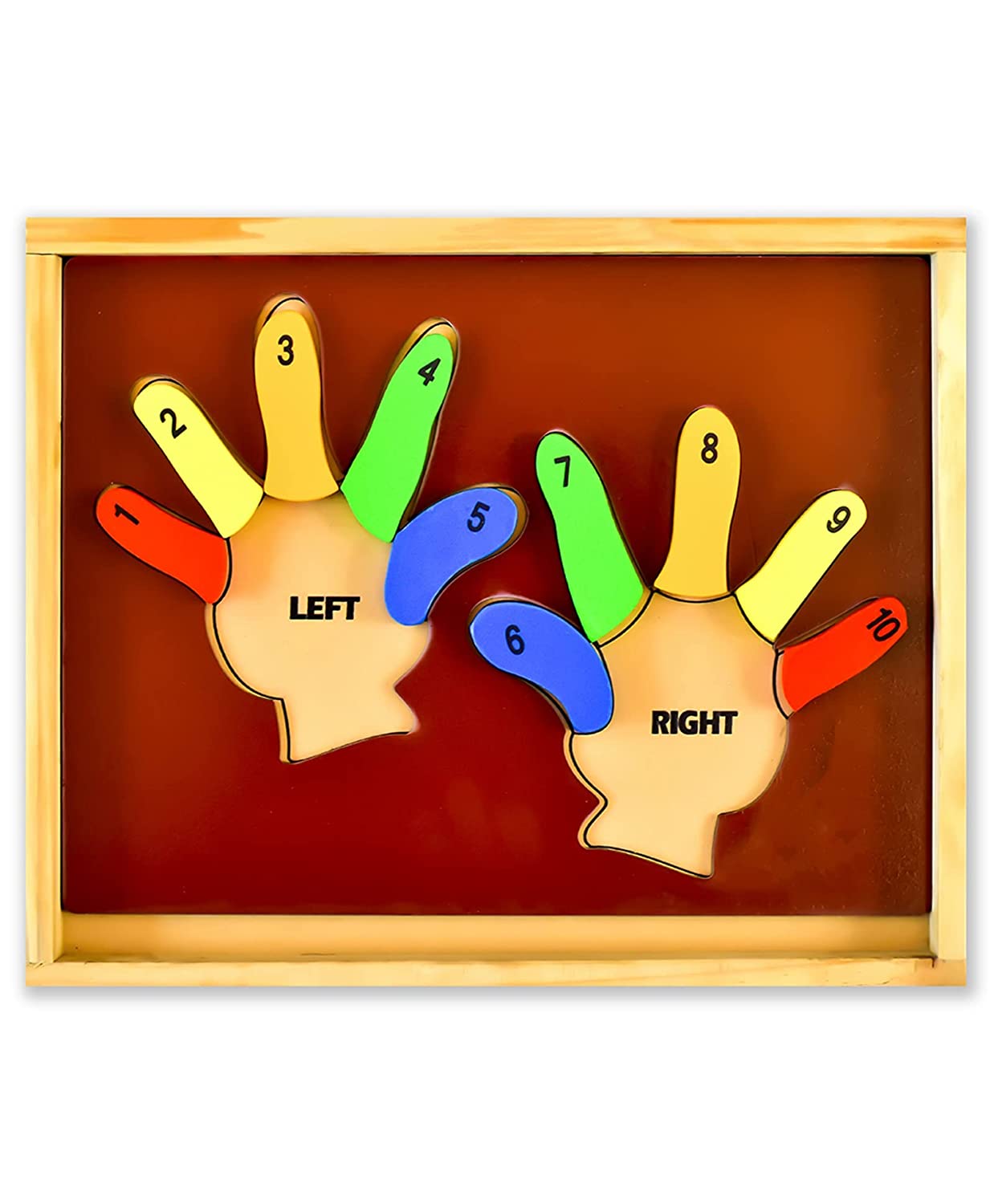 Learn the Counting Left Hand and Right Hand Puzzled Multicolour - 13 pieces