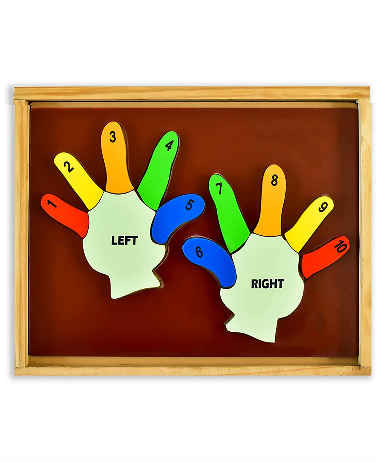Learn the Counting Left Hand and Right Hand Puzzled Multicolour - 13 pieces