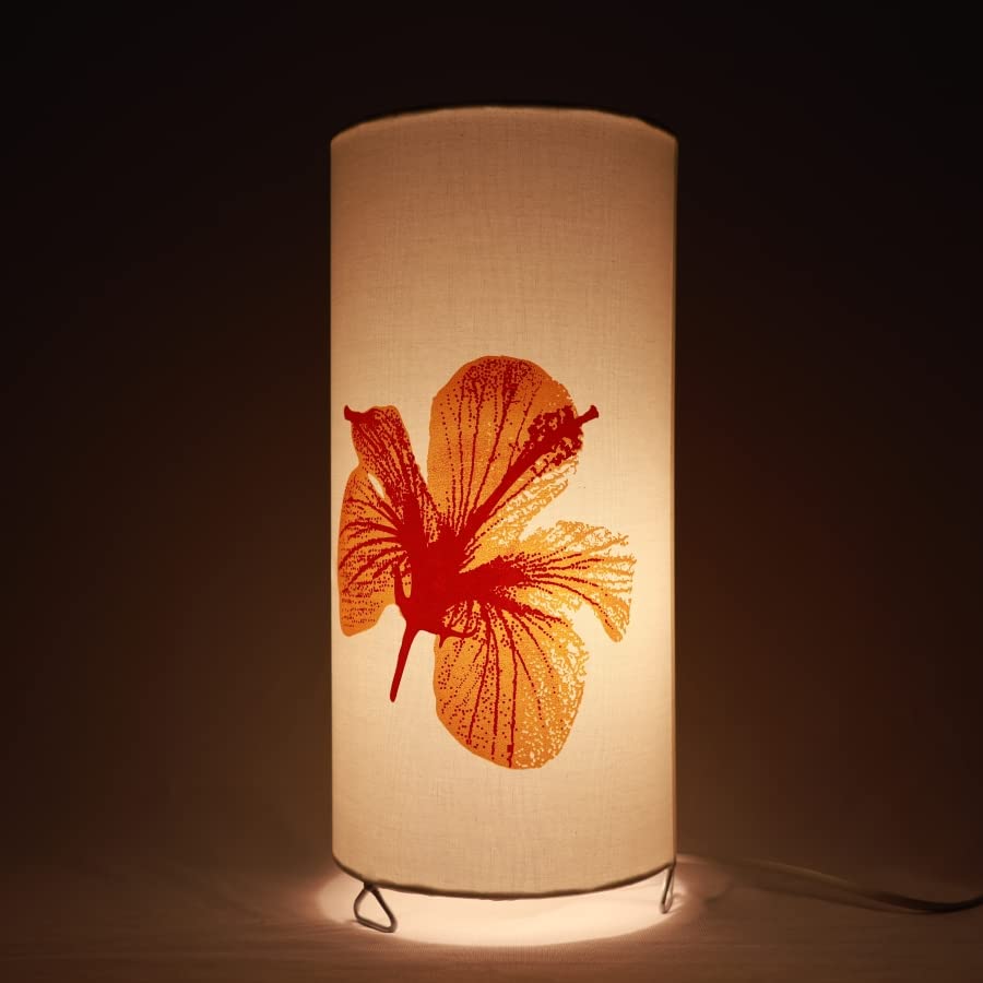 Desk Lamp, Study Lamp, Table Lamp With Creative Design 2 Pin Plug Type Without Bulb Night Lamp (15x32 cm)