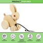 Toys Pull Along Toy, Wooden Rabbit, Push Along Toys, Toys, Natural Wood Color Develop Hand-Eye Coordination