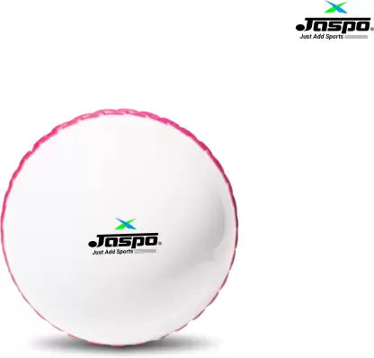 Jaspo T-20 Plus Practice Cricket /Wind Balls for Indoor & Outdoor Cricket Synthetic Ball  (Pack of 3, White)
