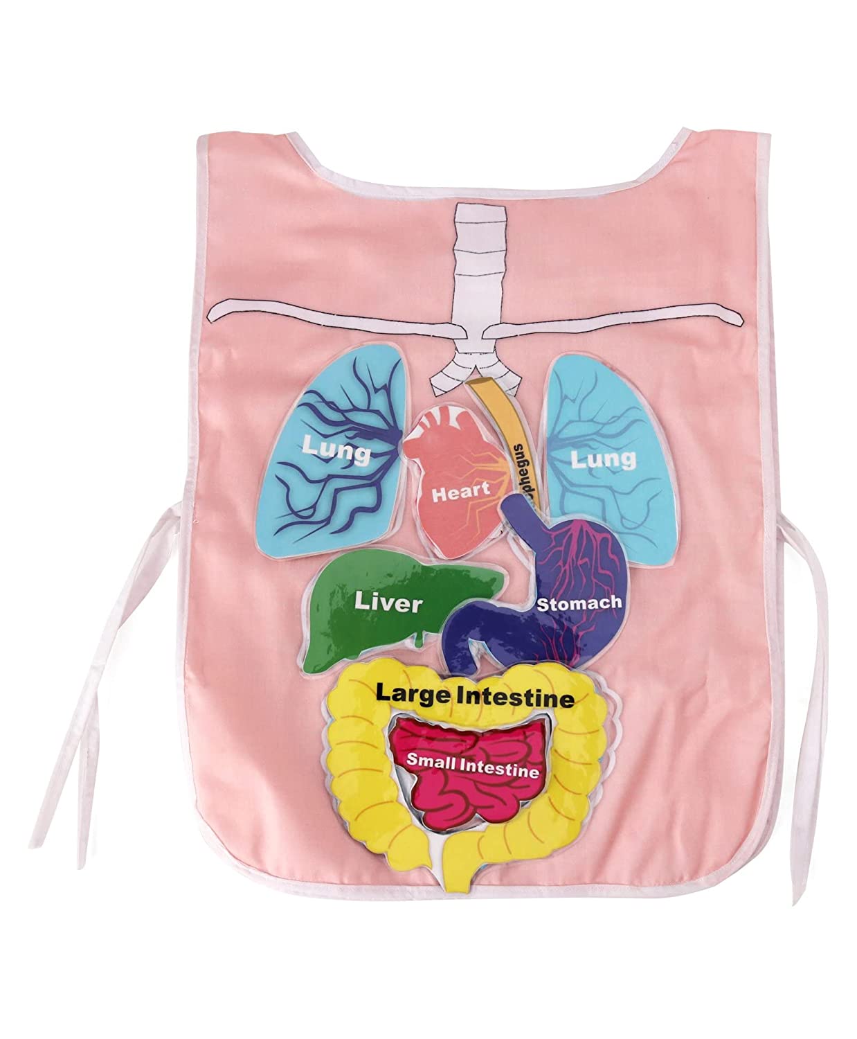 Personalised Apron, Aprons For Women, Kitchen Apron Apron To Teach 11 Internal Body Parts
